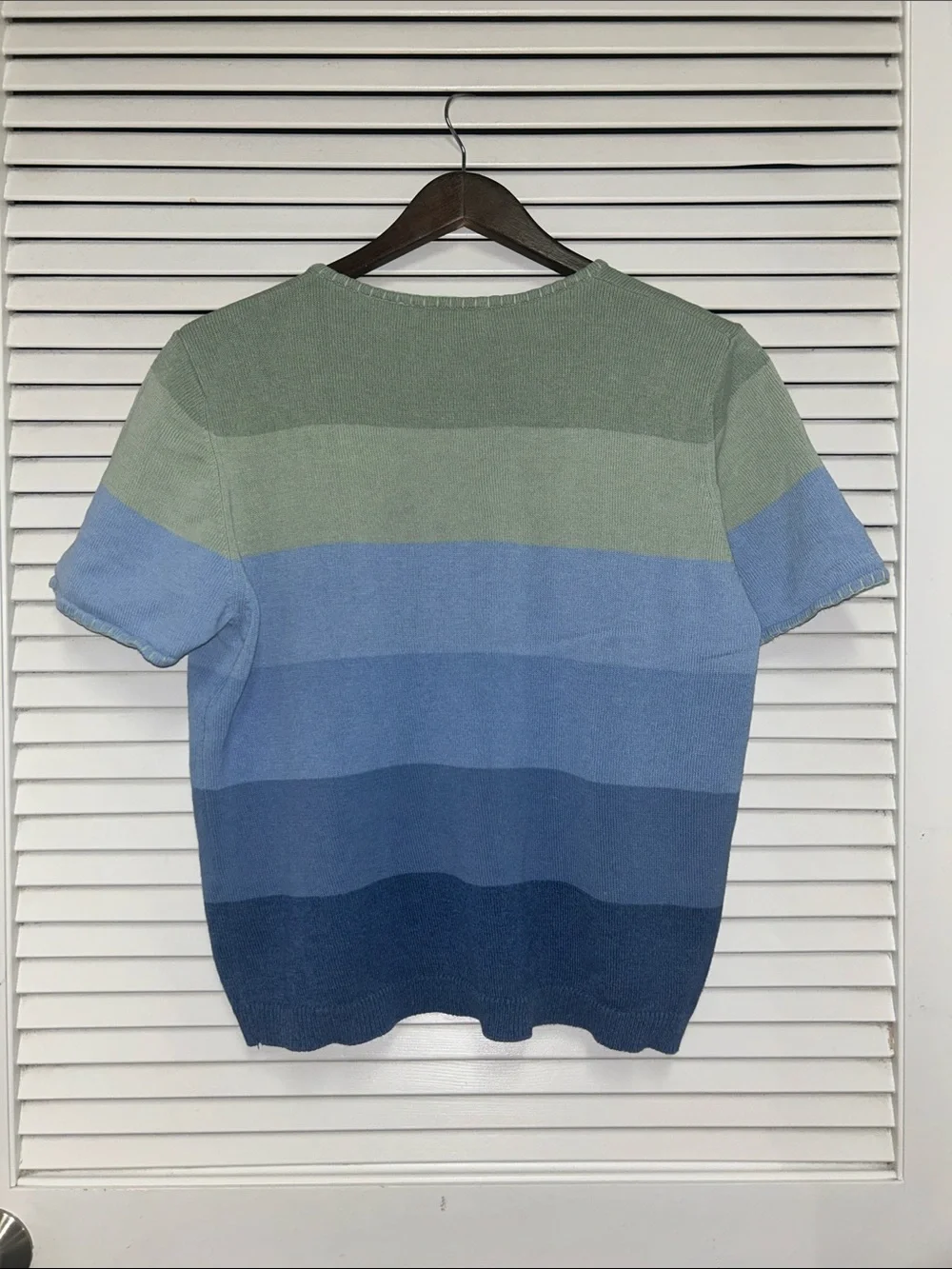 Alfred Dunner Green and Blue Gradient Dragonfly Knit Short Sleeve Sweater